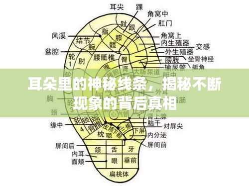 司空见惯 第2页