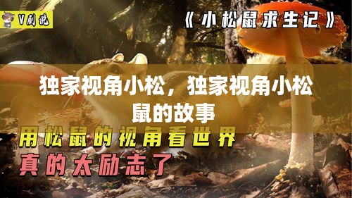 志在四方 第2页
