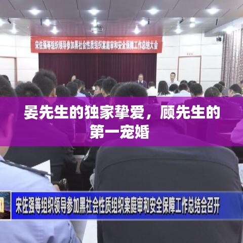 晏先生的独家挚爱，顾先生的第一宠婚 