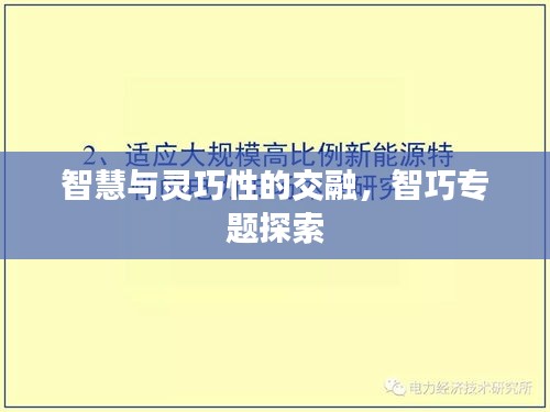 智慧与灵巧性的交融，智巧专题探索