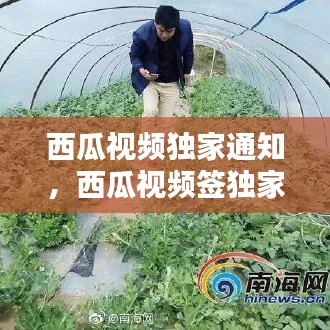 按部就班 第2页