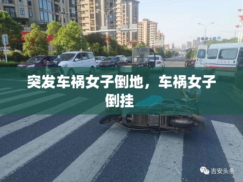 关于我们 第115页
