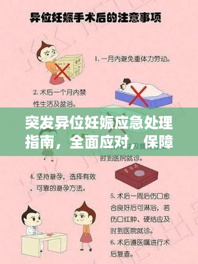 飞箭如蝗 第2页