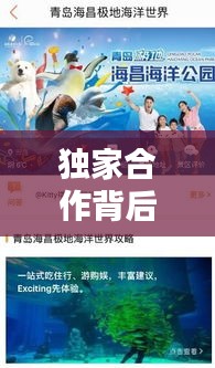 独家合作背后的策略与意义，美团独家签约深度解析