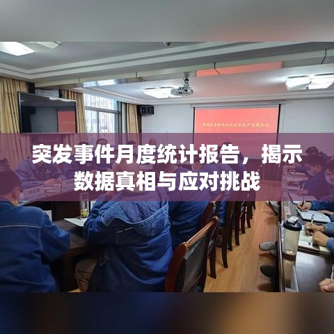 突发事件月度统计报告，揭示数据真相与应对挑战