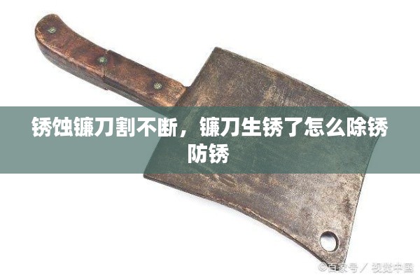 第667页