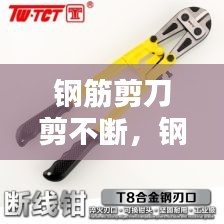钗荆裙布 第2页