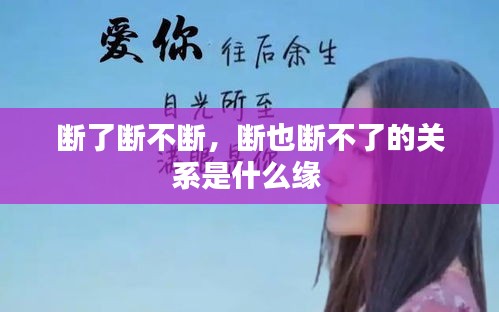 断了断不断，断也断不了的关系是什么缘 