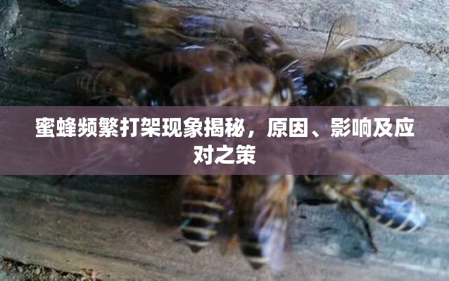 长命富贵 第2页