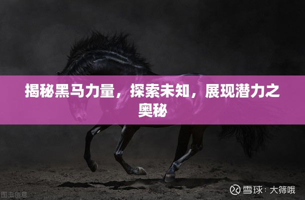 水浄鹅飞 第2页