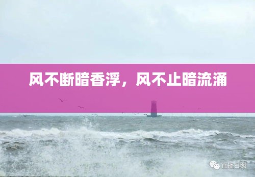 鸟面鹄形 第2页