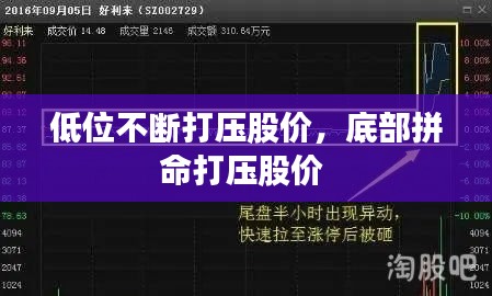 鸟吏鳖官 第2页
