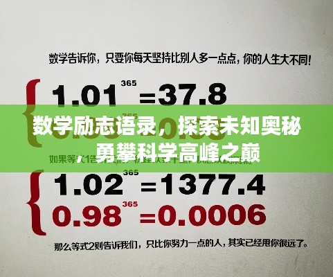 衣不兼彩 第2页