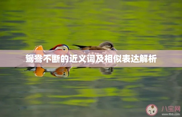 营销网络 第95页