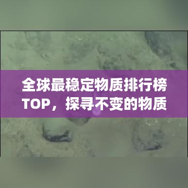 降贵纡尊 第2页