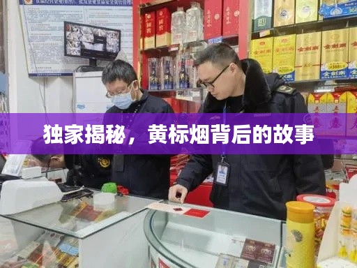 半新不旧 第2页
