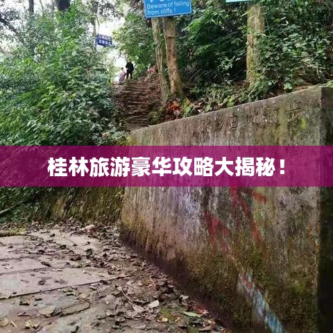 联系我们 第87页