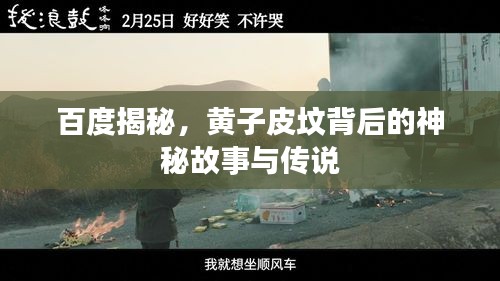 小鸟伊人 第2页