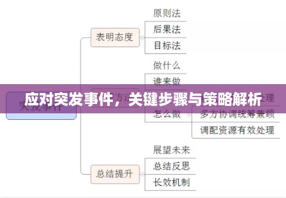 应对突发事件，关键步骤与策略解析