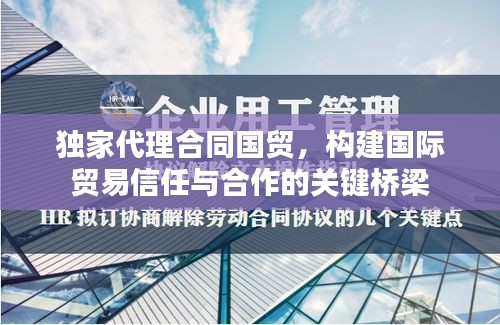 独家代理合同国贸，构建国际贸易信任与合作的关键桥梁