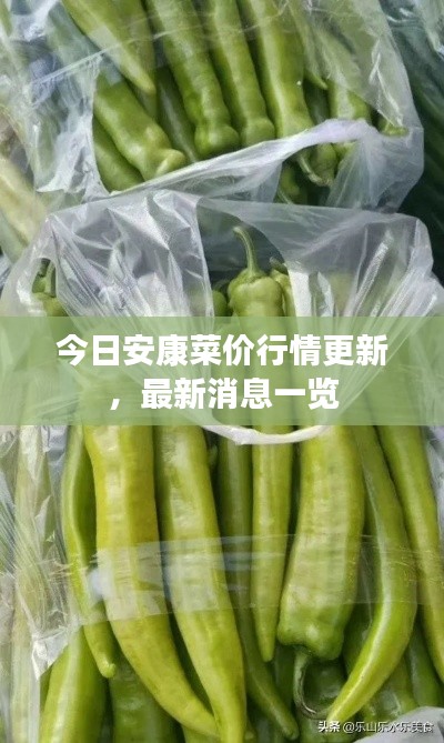 无影无踪 第2页