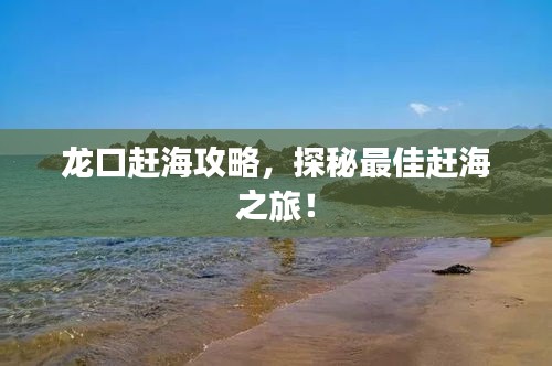 龙口赶海攻略，探秘最佳赶海之旅！