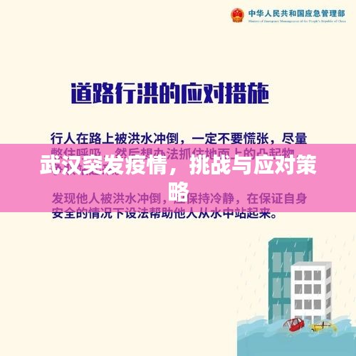 武汉突发疫情，挑战与应对策略
