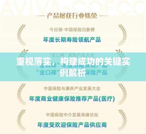 重视落实，构建成功的关键实例解析