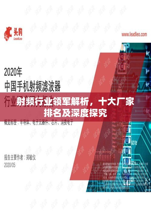 倦鸟思归 第2页