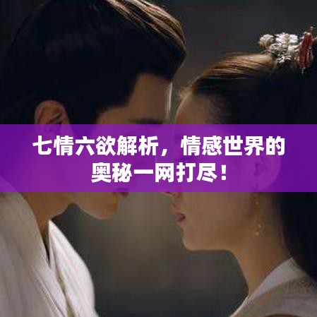关于我们 第79页