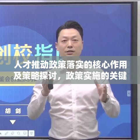 人才推动政策落实的核心作用及策略探讨，政策实施的关键人才因素解析