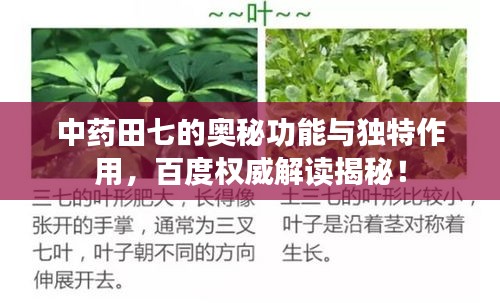 在线留言 第74页