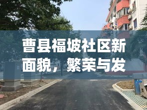 贵不可言 第2页