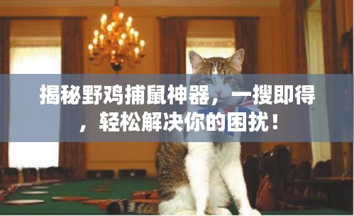 揭秘野鸡捕鼠神器，一搜即得，轻松解决你的困扰！