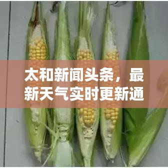 联系我们 第71页
