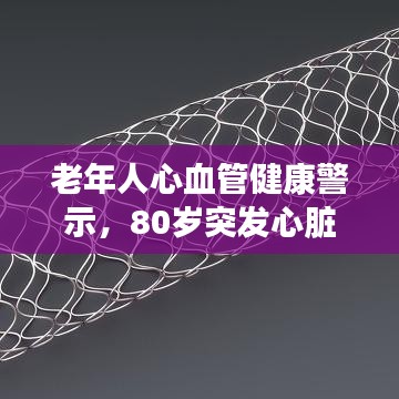 铺张浪费 第2页
