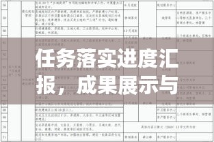 任务落实进度汇报，成果展示与行动剖析
