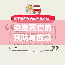 突发死亡的预防与应急措施，守护生命的关键重要性