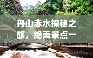 鸢飞鱼跃 第2页