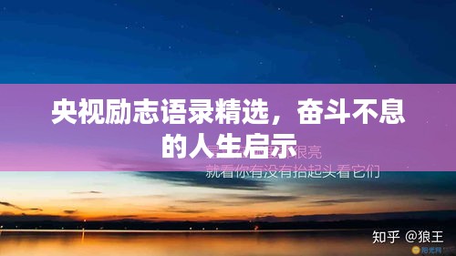 央视励志语录精选，奋斗不息的人生启示