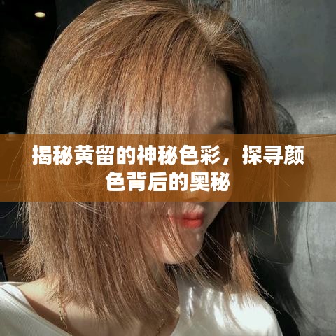揭秘黄留的神秘色彩，探寻颜色背后的奥秘