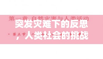 突发灾难下的反思，人类社会的挑战与启示
