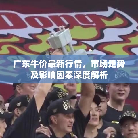 广东牛价最新行情，市场走势及影响因素深度解析