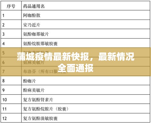 蒲城疫情最新快报，最新情况全面通报