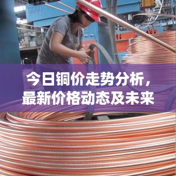 今日铜价走势分析，最新价格动态及未来展望