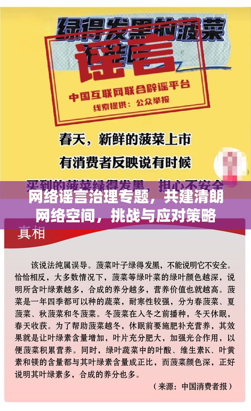 网络谣言治理专题，共建清朗网络空间，挑战与应对策略