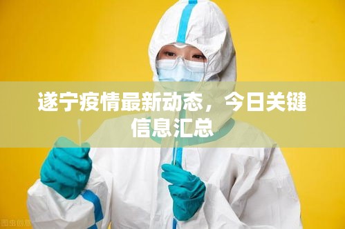 遂宁疫情最新动态，今日关键信息汇总