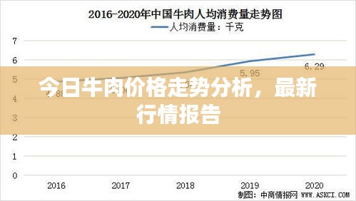 今日牛肉价格走势分析，最新行情报告