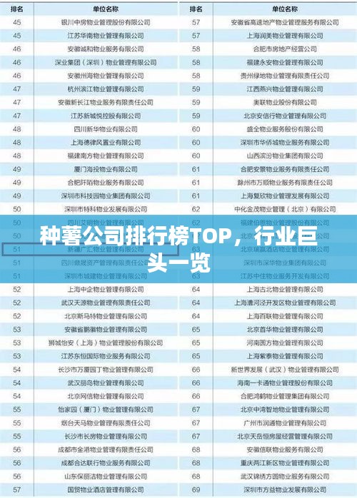 种薯公司排行榜TOP，行业巨头一览