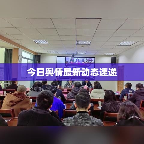 今日舆情最新动态速递
